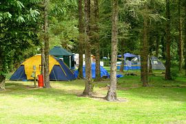 Wooded Glade Camping
