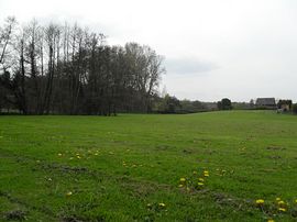 picture of site