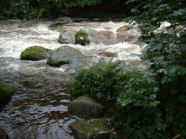 Just a view of the River Ogwen