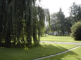 A view of the park