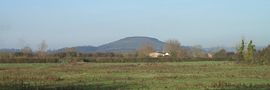 Brent Knoll from the Park