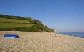 Branscombe Beach