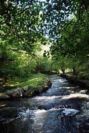 River Tryweryn