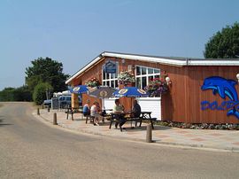 Our Bar, the Dolphin.