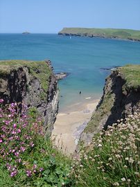 Polzeath Bay