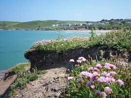 Polzeath Bay