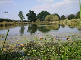 fishing lake