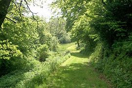 Down on the Nature Trail.