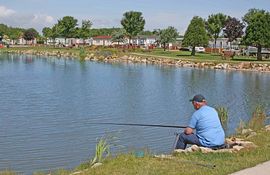 Patrington Haven Fishing Lake