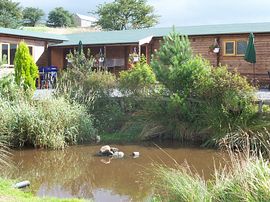 The pond and facilities