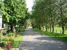 Main road through static field