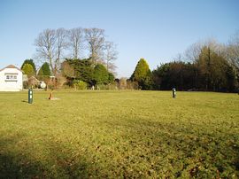 A wintry view