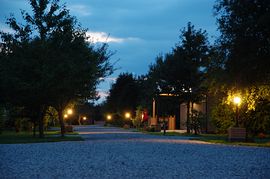The Park at Night