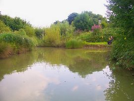 Our Fishing Pond