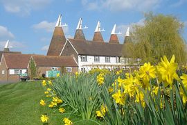 The Hop Farm Oasthouses