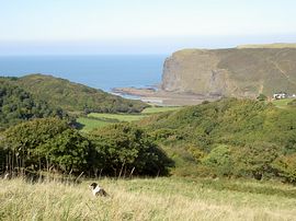 The walk to the beach.