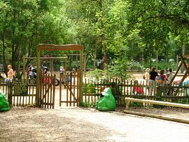 Play Area