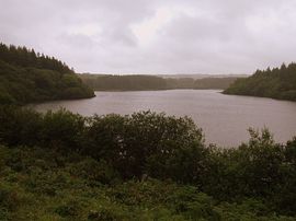 Wistlandpound reservoir