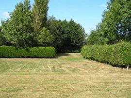 A flat grassy site