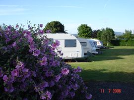 A view onto site