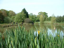 Lake view from caravan park