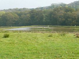 Lake view from camping site