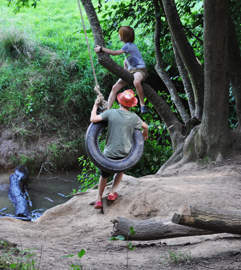 Tyre Swing