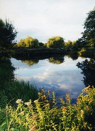 Millers Specimen Lake