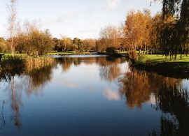 Forresters Coarse Lake