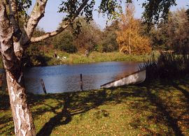 Forresters Lake