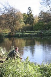 Fisherman