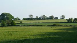 View from the field