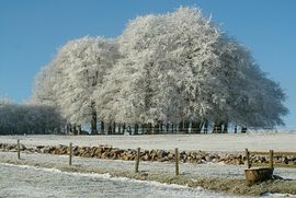 Winter at Ebborways