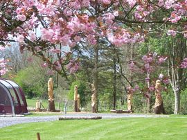 Pen y Bont Campsite in Spring