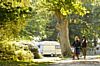 Hollands Wood Caravan & Camping Site, Brockenhurst