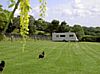 Good Farm Camping and Caravan Site, Feock