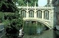 Campsites & Caravan Sites in Cambridge